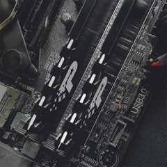 RAM PC Patriot Signature Premium 8GB 3200MHz DDR4 (1x8GB) PSP48G3200H1