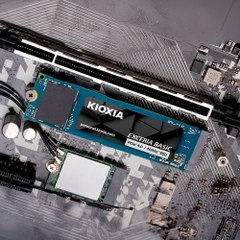 SSD Kioxia Exceria Basic 1TB M.2 PCIe Gen4 x4 BiCS FLASH LSF10Z001TG8
