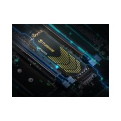 SSD Transcend MTE255S 1TB M.2 PCIe Gen4 x4 NVMe TS1TMTE255S