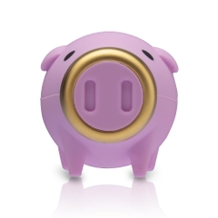 USB 3.1 Kingston Zodiac Pig 2019 32GB Limited Edition DTCNY19/32GB