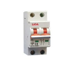 Aptomat LIOA 2 pha 100A