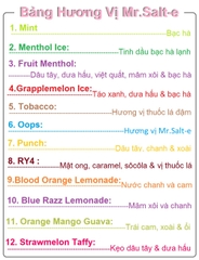 Tinh Dầu Vape Salt Nic MR.SALT-E (45mg / 30ml) - (#9 Blood Orange Lemonade - Nước Chanh & Cam)