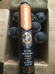 Keo bọt nở foam chống cháy Selfoam B1 750ml