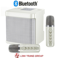 Loa bluetooth karaoke di động kèm 2 micro không dây