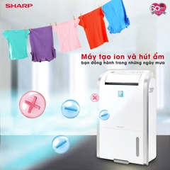 Máy lọc không khí có hút ẩm Sharp DW-D20A-W (50m2)