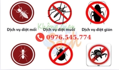 Diệt Mối tận gốc
