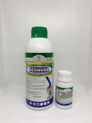ICON USA 2.5CS