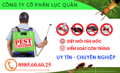 Công ty Phun muỗi tại Hà Nội - LỤC QUÂN PEST ( An toàn tuyệt đối, hiệu quả )