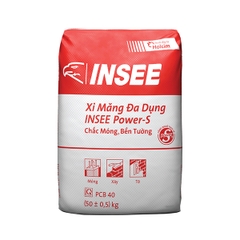 Xi măng INSEE Wall Pro