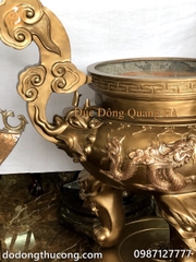LƯ HƯƠNG ĐỒNG ĐỎ RỒNG NỔI 1M60