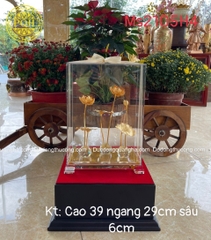 15+ CHẬU LAN BẰNG ĐỒNG MẠ VÀNG 24K TRƯNG BÀY