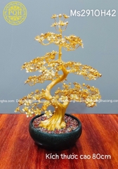 15+ CHẬU LAN BẰNG ĐỒNG MẠ VÀNG 24K TRƯNG BÀY