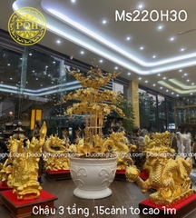 15+ CHẬU LAN BẰNG ĐỒNG MẠ VÀNG 24K TRƯNG BÀY