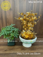 15+ CHẬU LAN BẰNG ĐỒNG MẠ VÀNG 24K TRƯNG BÀY