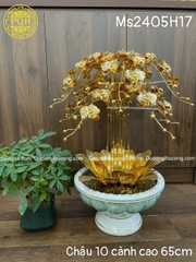 15+ CHẬU LAN BẰNG ĐỒNG MẠ VÀNG 24K TRƯNG BÀY