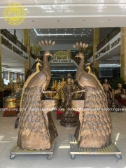 Tượng Chim Công Bằng Đồng Phong Thủy