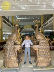 Tượng Chim Công Bằng Đồng Phong Thủy