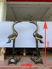 Hạc  1m97 Phớt Nỉ