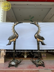 Hạc  1m97 Phớt Nỉ
