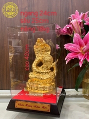CÁC MẪU RẮN DV 9999
