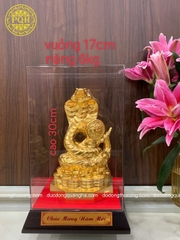 CÁC MẪU RẮN DV 9999
