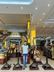 HẠC 1M76 &1M97 PHỚT NỈ