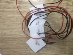 Chíp lạnh cây nước