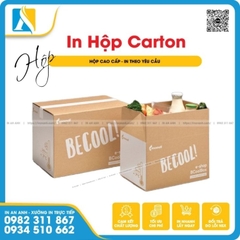 Báo Giá In Hộp Carton, Thùng Carton Giá Rẻ Theo Yêu Cầu - Lấy Ngay