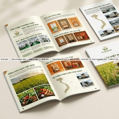 In Catalogue Số Lượng Ít Theo Yêu Cầu Sắc Nét Chuẩn Kỹ Thuật