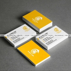 In Card Visit Công Ty Theo Bộ Nhận Diện - Đồng Bộ, Đẳng Cấp Thương Hiệu