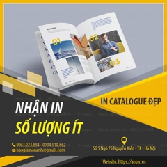 In Lấy Ngay 50 Cuốn Catalogue Trong Ngày Với Giá Sốc Chỉ 1.399.000 vnđ
