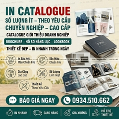 In Catalogue Số Lượng Ít Theo Yêu Cầu Sắc Nét Chuẩn Kỹ Thuật