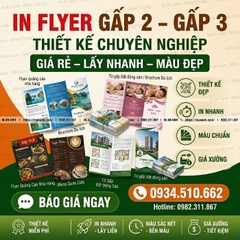 In Flyer Gấp 2 Gấp 3 Giá Rẻ Hà Nội Thiết Kế Chuyên Nghiệp