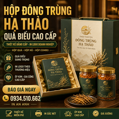 Hộp Đông Trùng Hạ Thảo Quà Biếu - Thiết Kế Đẳng Cấp, In Logo Doanh Nghiệp