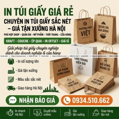 In Túi Giấy Giá Rẻ — Chuyên In Túi Giấy Sắc Nét, Giá Tận Xưởng Hà Nội