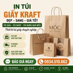In Túi Giấy Kraft - Bền, Mộc, Thân Thiện Môi Trường, In Logo Sắc Nét