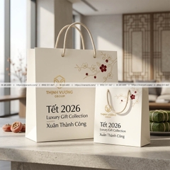 Túi Giấy Quà Tết Cao Cấp- In Logo Doanh Nghiệp, Đặt Sớm Giá Tốt