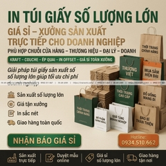 In Túi Giấy Số Lượng Lớn, Giá Sỉ - Xưởng Sản Xuất Trực Tiếp Cho Doanh Nghiệp