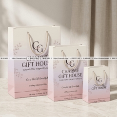 Túi Giấy Đựng Quà, Quà Tặng - Sang Trọng, In Logo, Đủ Size