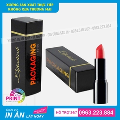 Top 9 mẫu bao bì giấy đựng son thiết kế ấn tượng và được in ấn cao cấp tại Hà Nội
