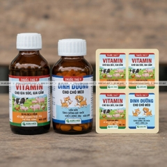 In Nhãn Thuốc Thú Y Chống Ẩm, Chuẩn TT 13