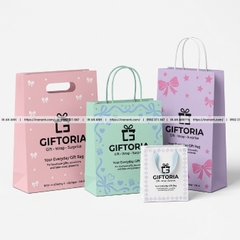 Túi Giấy Đựng Quà, Quà Tặng - Sang Trọng, In Logo, Đủ Size