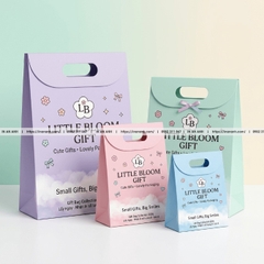 Túi Giấy Đựng Quà, Quà Tặng - Sang Trọng, In Logo, Đủ Size