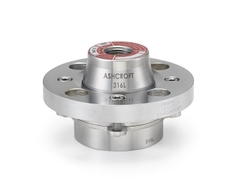 302-303 Flanged Diaphragm Seals