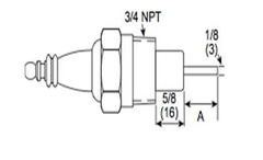 Eclipse 12392-4 Spark Ignitor or Flame Rod, 3/4