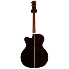 Đàn Guitar Acoustic Takamine P5JC