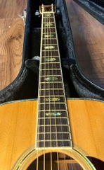 Guitar Morris W40