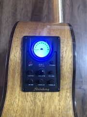 Guitar KOA ACOUTIC EQ-GT4