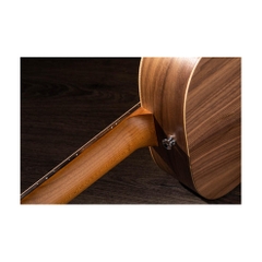 Đàn Guitar Acoustic Taylor BT1E - Baby Taylor