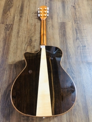 Guitar Dadarwood DW-3900C